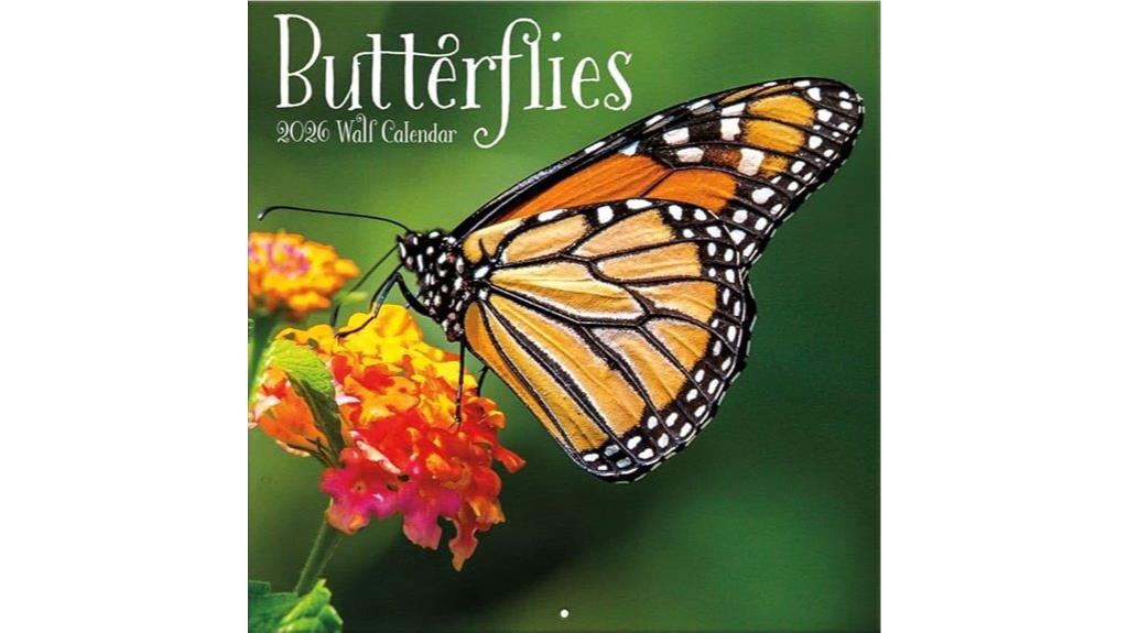 butterflies wall calendar