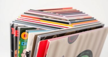 large vinyl record sleeves