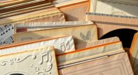 vinyl record preservation sleeves