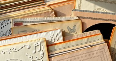vinyl record preservation sleeves