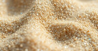 transforming sounds with grains