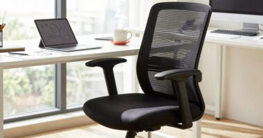 comfortable supportive work environment