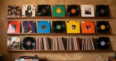 efficient vinyl collection organization