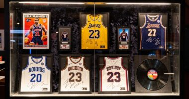 highlighting signed collectibles effectively