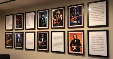 premium frames unify music rooms