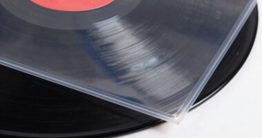 protecting vinyls from damage