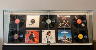 protective display for records