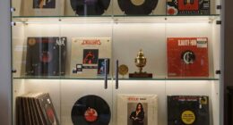 secure storage for collectibles