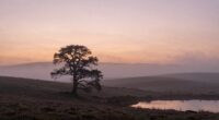 serene unchanging atmospheric melodies