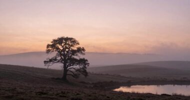 serene unchanging atmospheric melodies