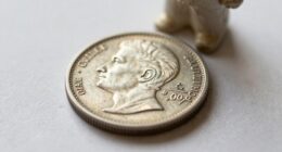 showcase collectibles with clarity