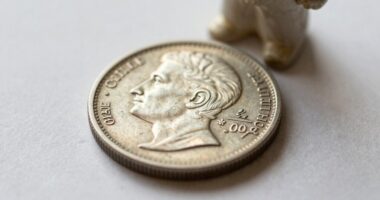 showcase collectibles with clarity