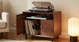 stylish audiophile furniture