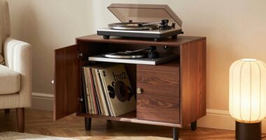 stylish audiophile furniture
